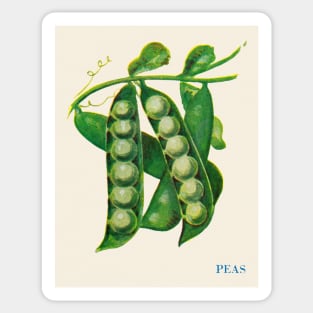 Illustration of Peas (1915) Sticker